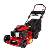 Ženy
